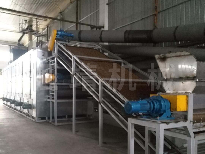 DWT米兰体育（中国）脱水蔬菜干燥机